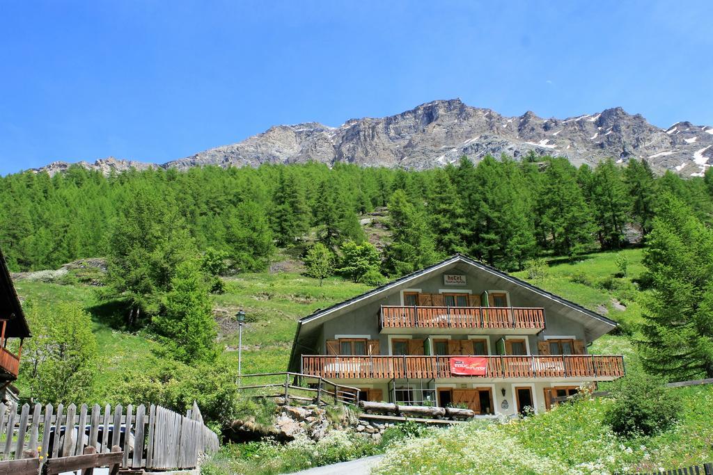 Hotel Maison Des Myrtilles Valgrisenche Exterior foto