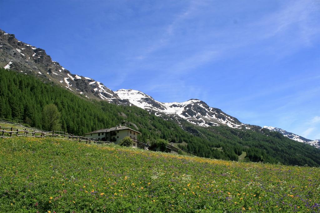 Hotel Maison Des Myrtilles Valgrisenche Exterior foto
